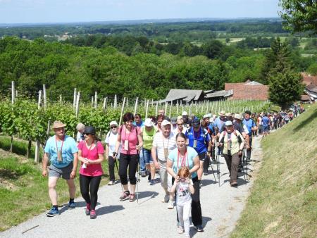 Pomlad v prleških goricah 2017 101